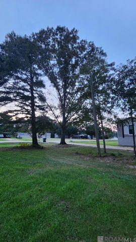 35238 Curtis Dr, Denham Springs, LA 70706