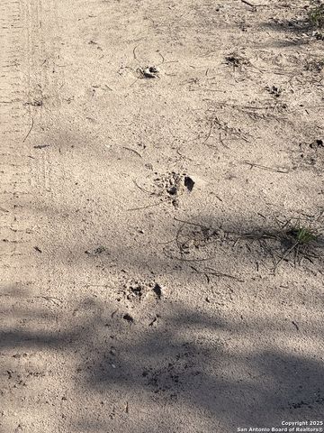 0 CR 326, Beeville, TX 78102