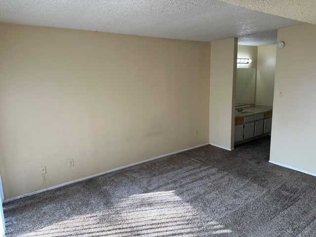 12244 Bob White Drive 122, Houston, TX 77035