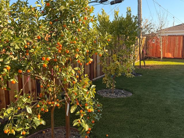 2121 Francis Avenue, Santa Clara, CA 95051