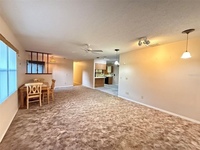 2122 CR 437A, Lake Panasoffkee, FL 33538