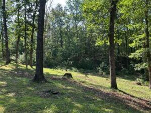 365 Green Drive 4, Pikeville, TN 37367