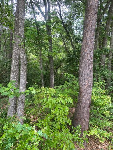 706 Hayman Street, Huntsville, TX 77340
