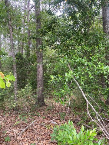 706 Hayman Street, Huntsville, TX 77340