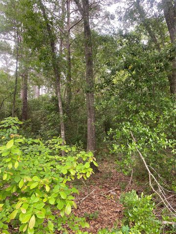 706 Hayman Street, Huntsville, TX 77340