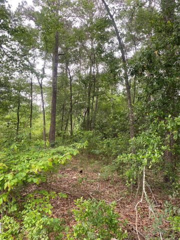 706 Hayman Street, Huntsville, TX 77340