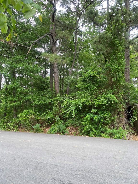706 Hayman Street, Huntsville, TX 77340