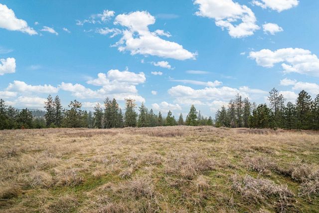 16xxx N Brannon Ln, Spokane, WA 99208