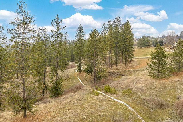 16xxx N Brannon Ln, Spokane, WA 99208