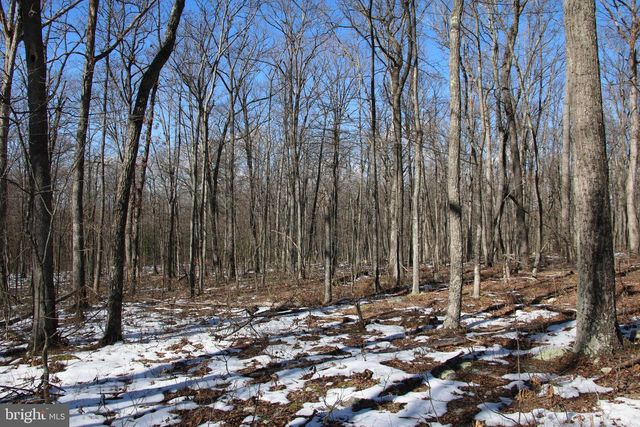 FOREST LANE, Gore, VA 22637