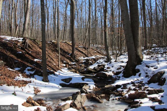 FOREST LANE, Gore, VA 22637
