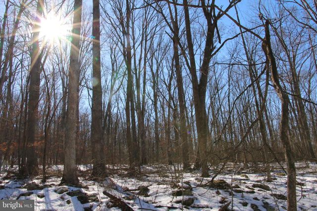 FOREST LANE, Gore, VA 22637