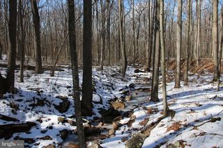 FOREST LANE, Gore, VA 22637