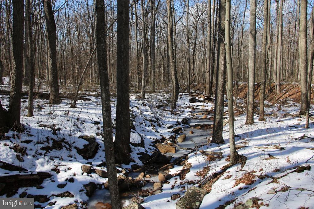 FOREST LANE, Gore, VA 22637