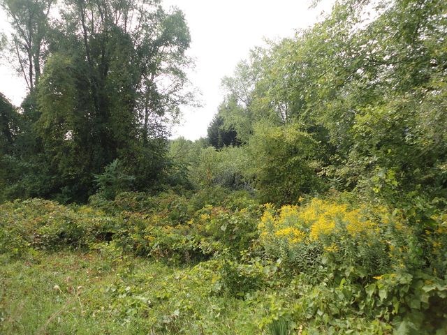 parcel A CR 215, Grand Junction, MI 49056