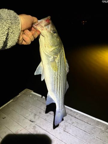 1228 Scooter Bridge Road, Batesburg, SC 29006