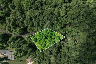 Lot 21 Lake Ridge Road, Butler, TN 37640