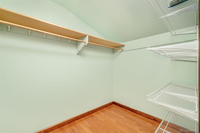 815 Vivian Street, Lakewood, CO 80401