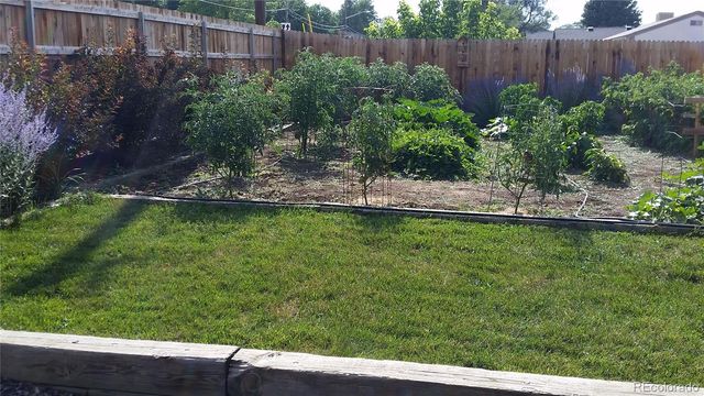 815 Vivian Street, Lakewood, CO 80401