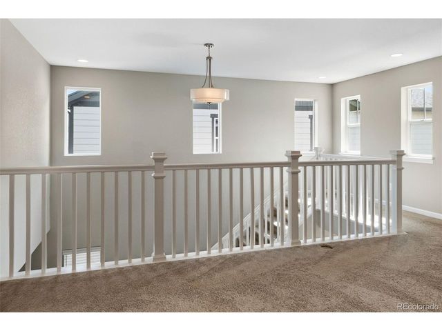 6458 Amur Ct, Castle Rock, CO 80108