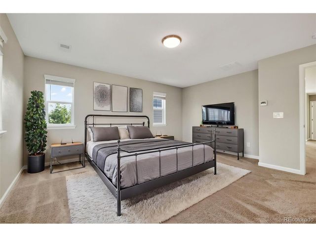 6458 Amur Ct, Castle Rock, CO 80108