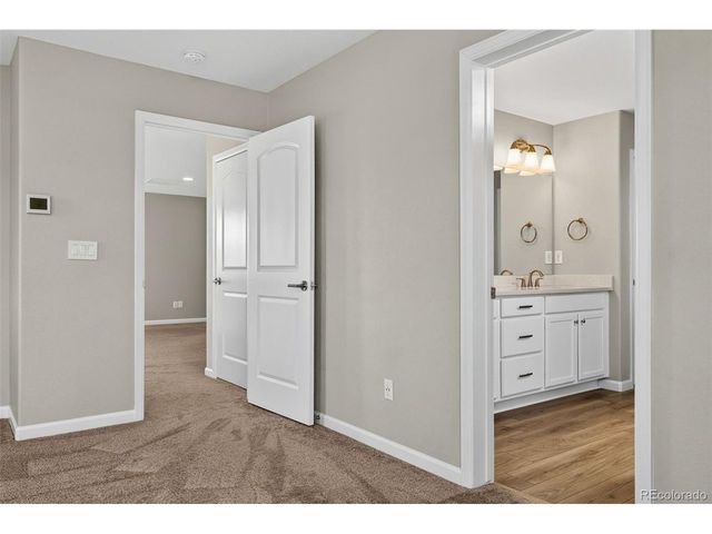 6458 Amur Ct, Castle Rock, CO 80108