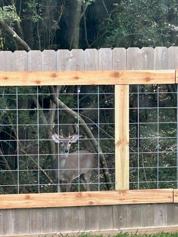 11807 Whispering Pines Lane, Montgomery, TX 77356