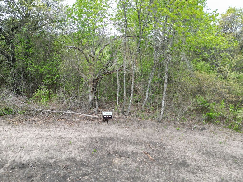 197 Fan Mill Trail, Weatherford, TX 76085