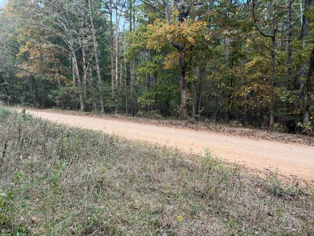 Lot 3 County Road 113, Alton, MO 65606