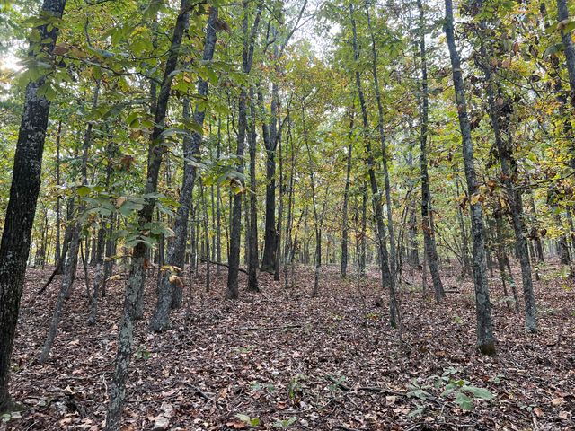 Lot 3 County Road 113, Alton, MO 65606