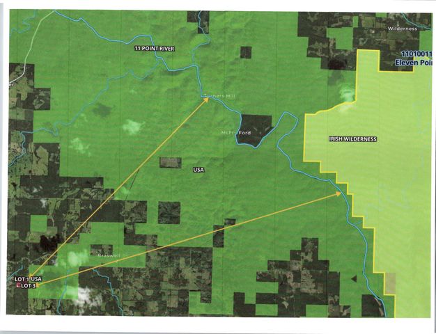 Lot 3 County Road 113, Alton, MO 65606