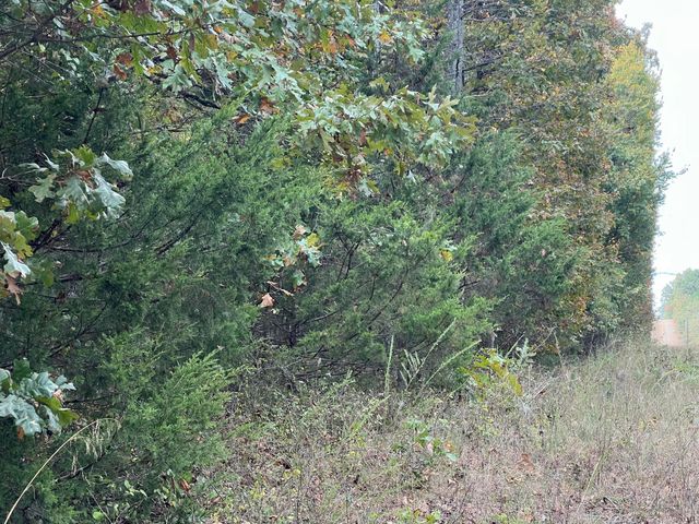 Lot 3 County Road 113, Alton, MO 65606