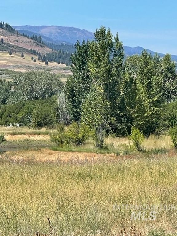 TBD Fairway Drive, Council, ID 83612 photo 4