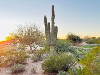 19838 N 84TH Street, Scottsdale, AZ 85255