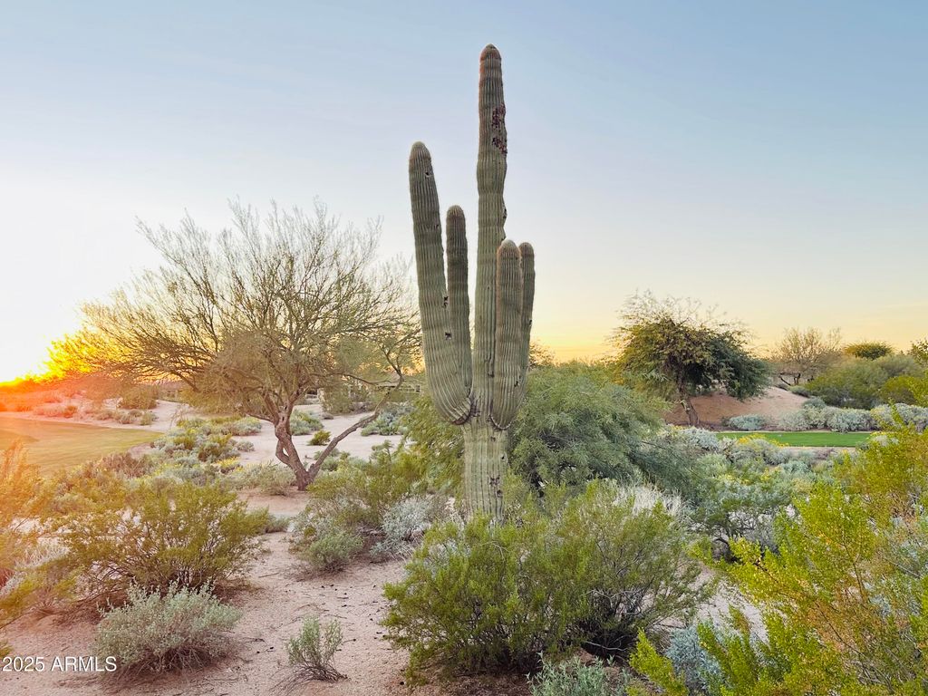 19838 N 84TH Street, Scottsdale, AZ 85255