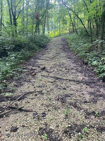 295 Conoloway Bay Dr, Clarkson, KY 42726