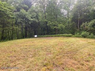 295 Conoloway Bay Dr, Clarkson, KY 42726