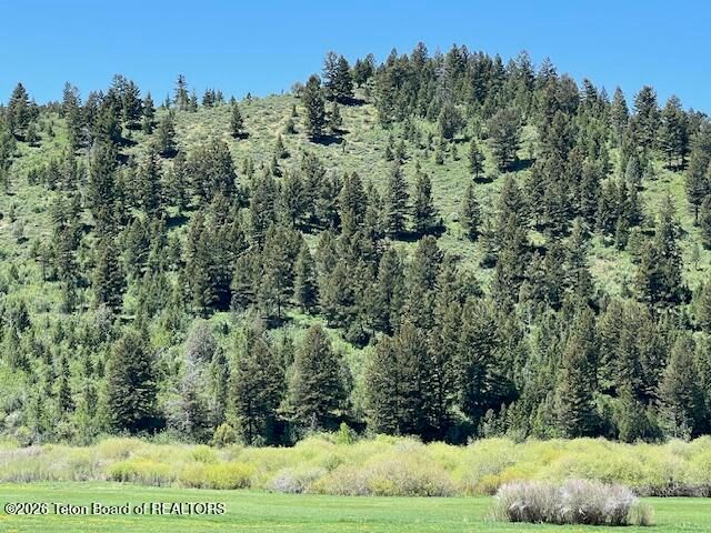 5001 FAIRVIEW SPG CRK Road, Afton, WY 83110 property photo