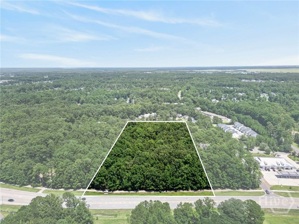 Image 2 of property listing at 0 Harris Trail Road, Richmond Hill, GA 31324