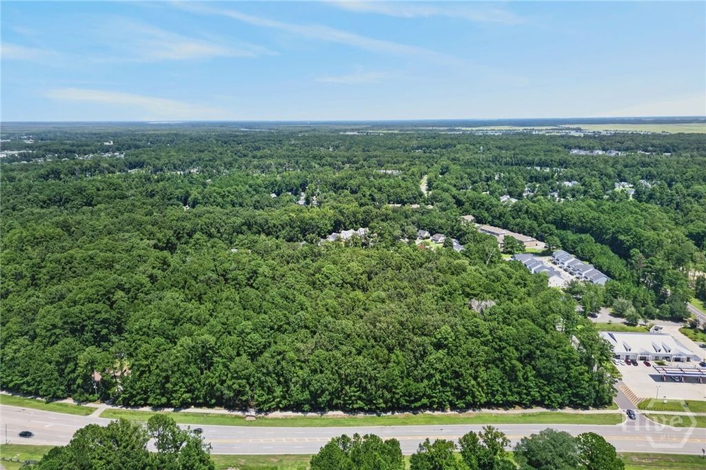 Image 4 of property listing at 0 Harris Trail Road, Richmond Hill, GA 31324