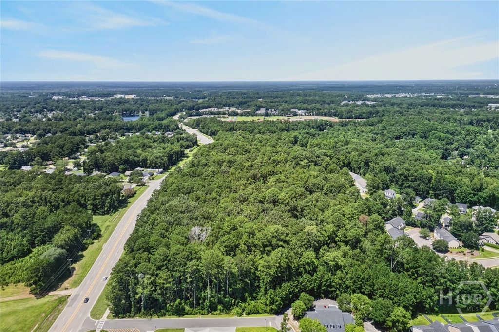 Image 5 of property listing at 0 Harris Trail Road, Richmond Hill, GA 31324