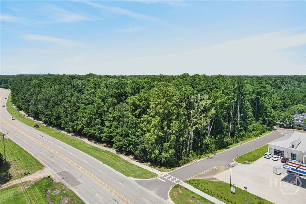 Image 6 of property listing at 0 Harris Trail Road, Richmond Hill, GA 31324