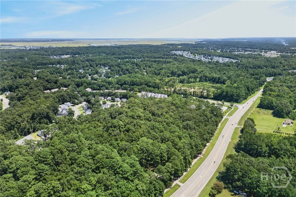 Image 8 of property listing at 0 Harris Trail Road, Richmond Hill, GA 31324