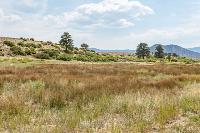 24260 River Rock Lane, Buena Vista, CO 81211