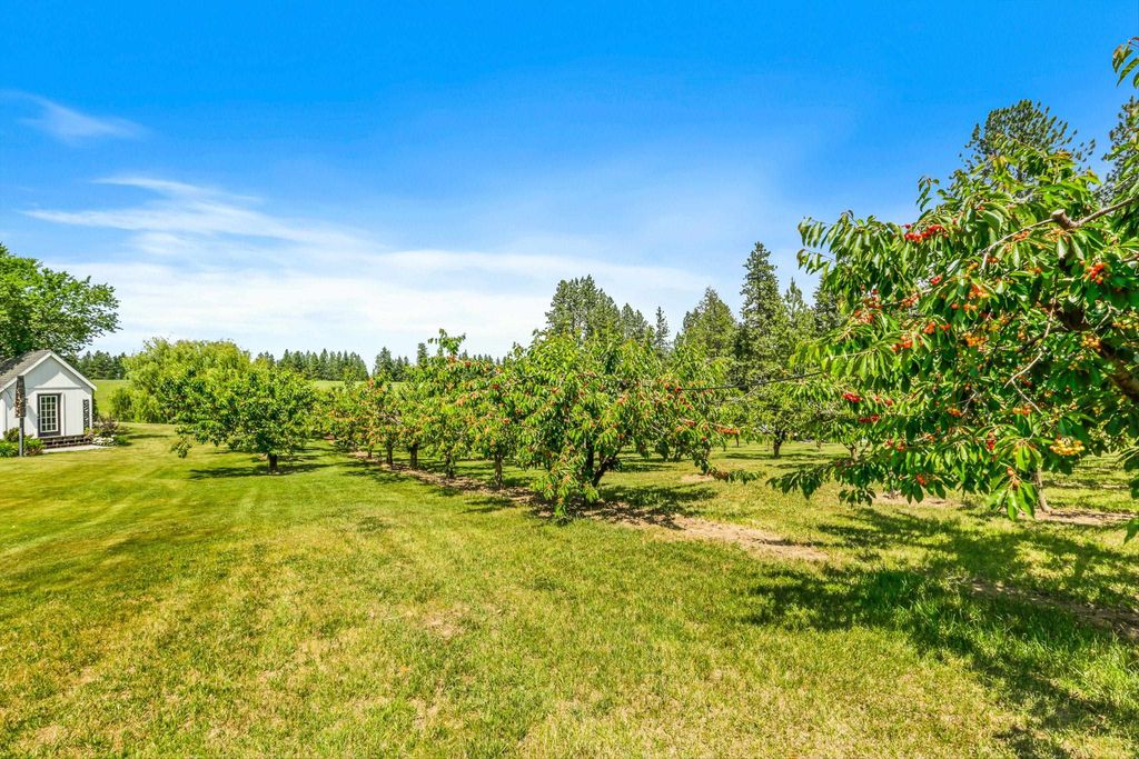 17911 N Day Mount Spokane Rd, Mead, WA 99021 photo 41