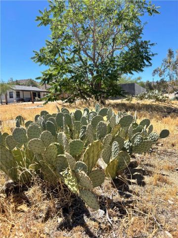 62027 Valley View, Joshua Tree, CA 92252