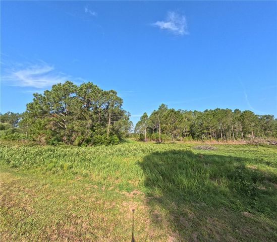 11031 ARROWTREE BOULEVARD, Clermont, FL 34715