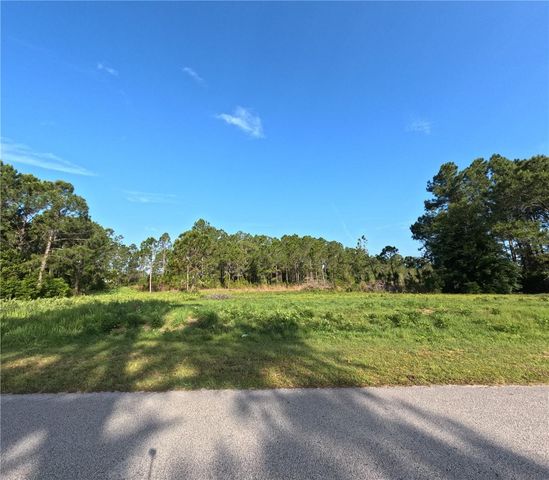 11031 ARROWTREE BOULEVARD, Clermont, FL 34715