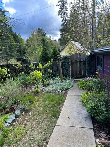 523 W Broad St, Nevada City, CA 95959