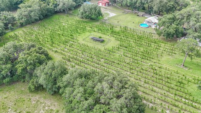 5117 CR 316A, Bushnell, FL 33513